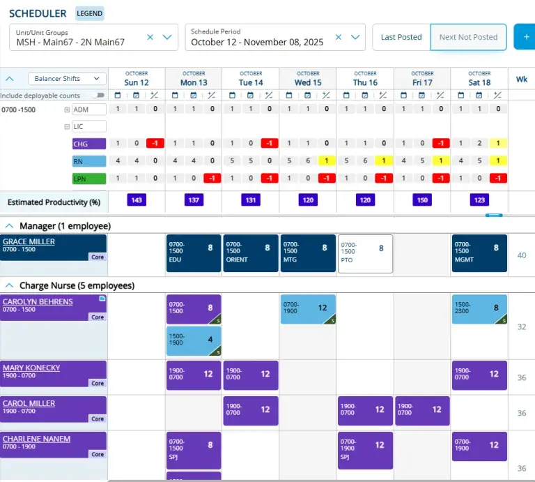 Hospital workforce scheduling dashboard showing staff shifts and productivity overview